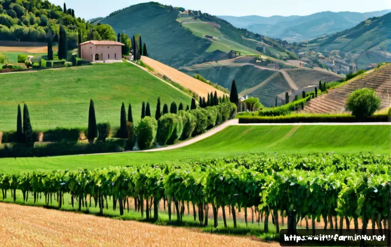 Certificazione coreana per il controllo qualità agricolo: difficoltà dell’esame e valore per chi lavora dall’Italia 4 농산물품질관리사 시험 난이도 분석 관련 이미지 2